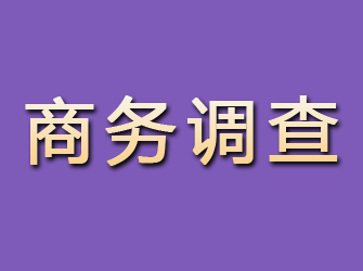 如何通过正规渠道在温州找到私人侦…